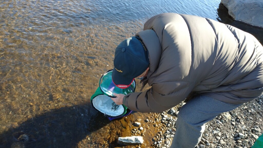 ヤマメ放流をおこないました