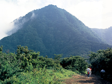 金時山の足柄登山道開通のお知らせ