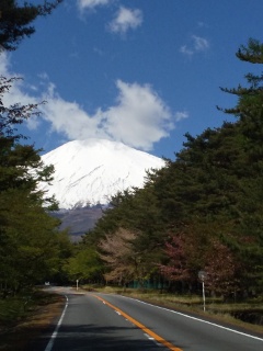 ふじあざみライン開通のお知らせ