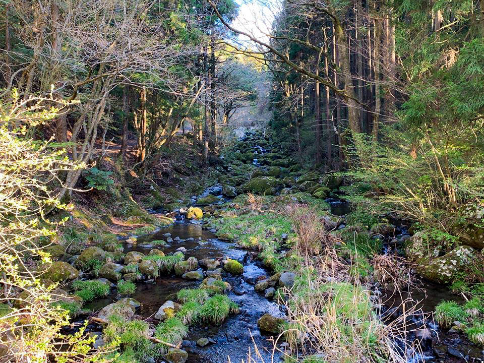 全国発”小山町和ハーブロード”