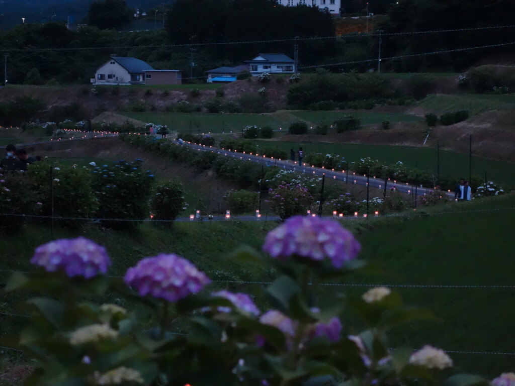 第１３回金太郎産湯の里湯船あじさい祭りが開催されました