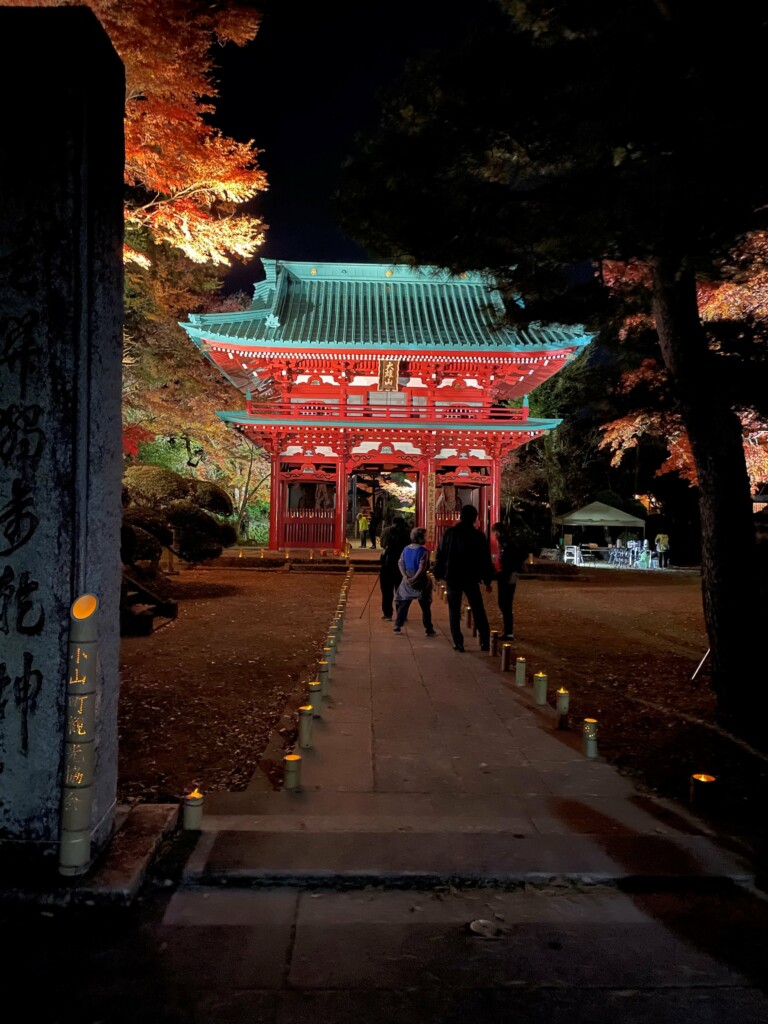 2024竹あかり&ライトアップ開催のお知らせ