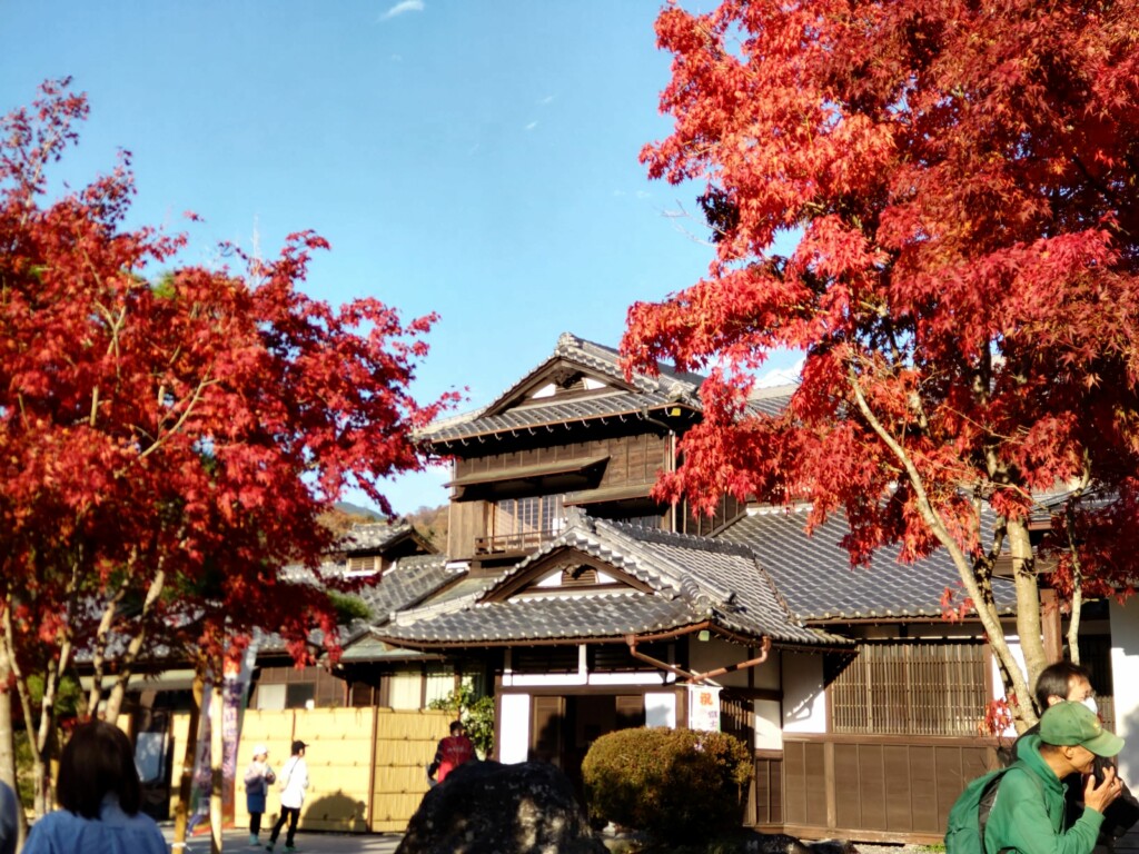 豊門公園もみじまつり開催のお知らせ