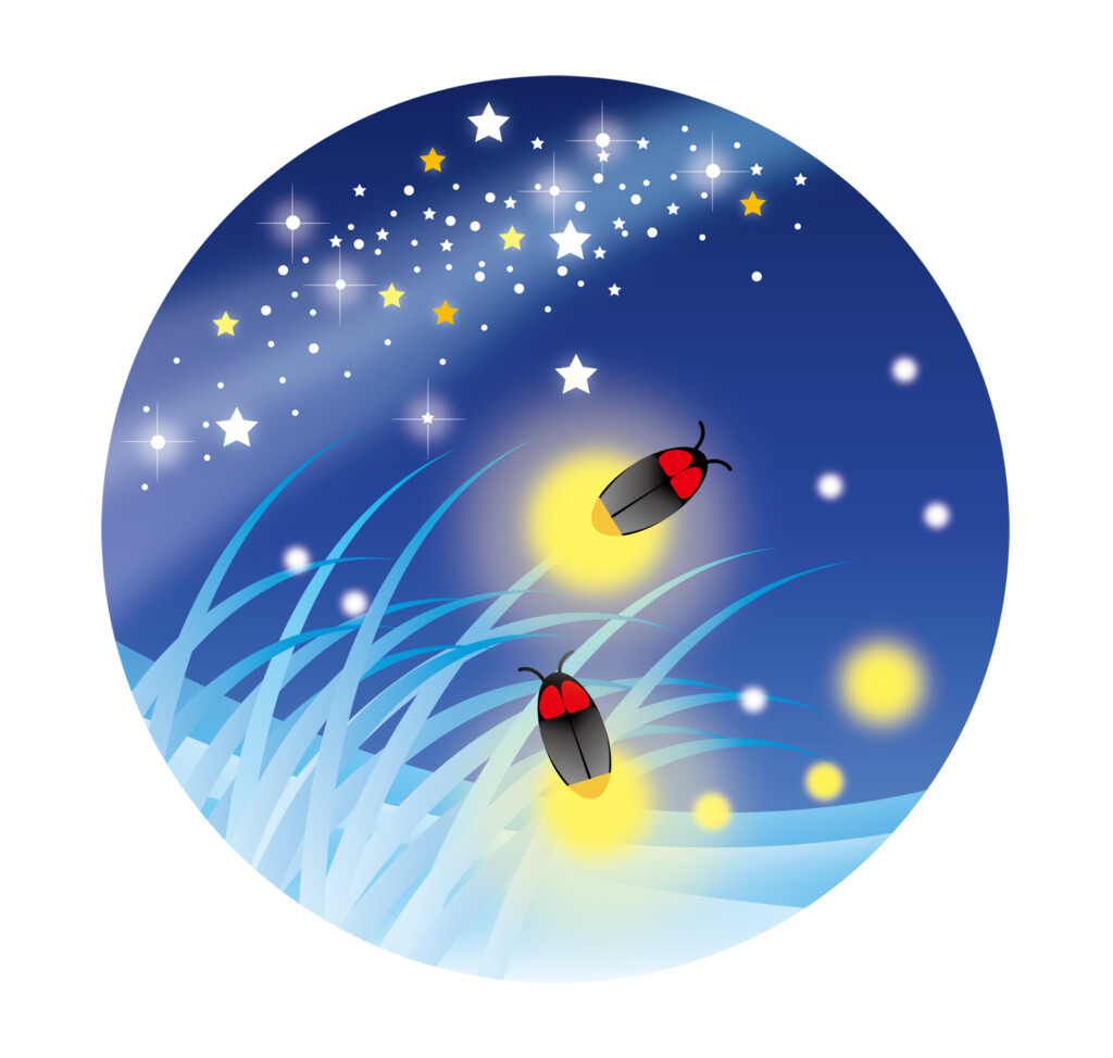 ホタル観賞会開催のお知らせ