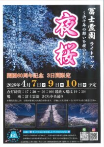 冨士霊園　ライトアップ　「夜桜」