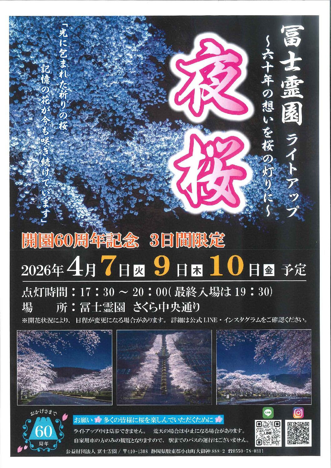 冨士霊園　ライトアップ　「夜桜」