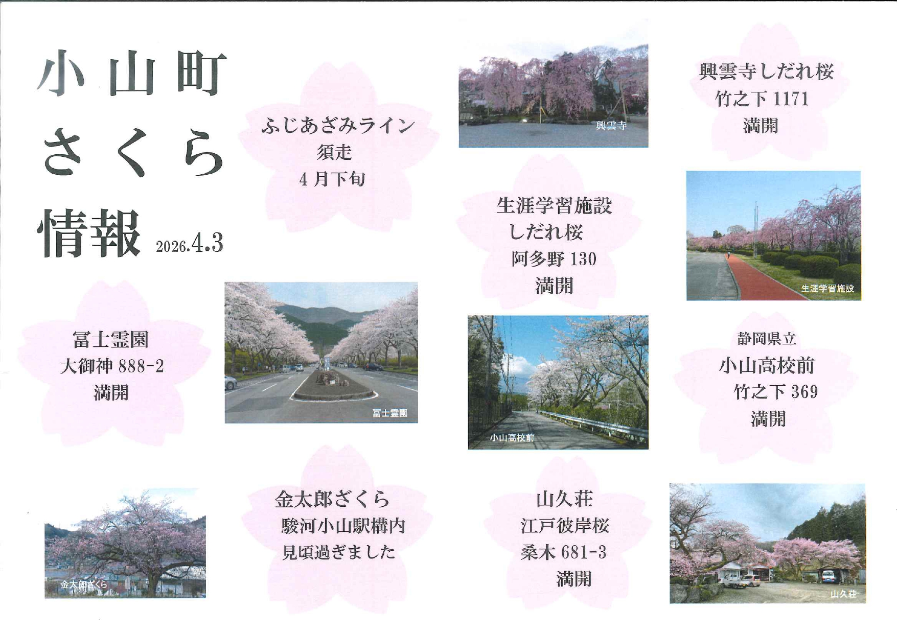 小山町さくら情報