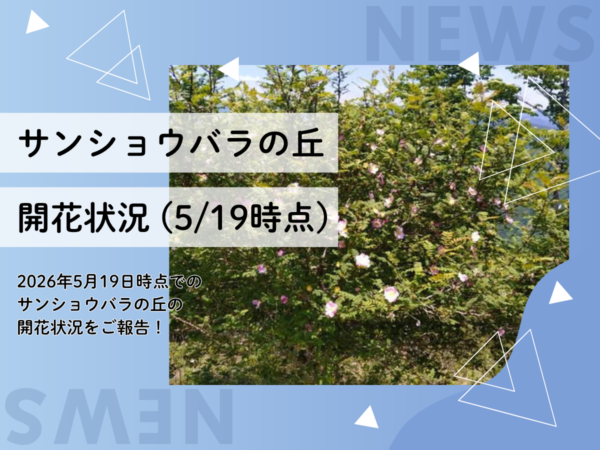 サンショウバラの丘